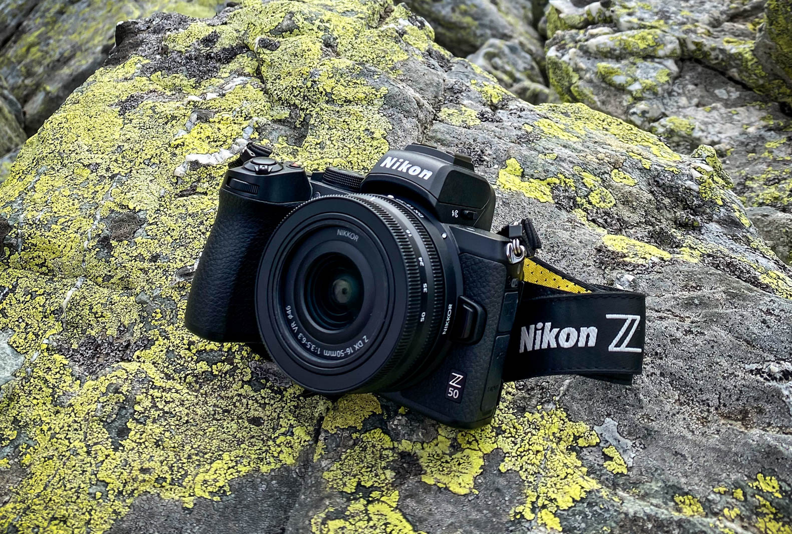 Nikon Z50 : le boîtier pour tous